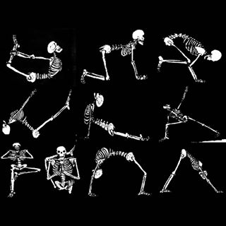 skeleton-group.jpg